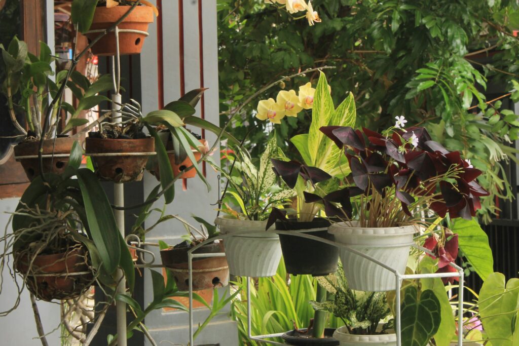Cluster of colourful potted herbs and flowers arranged outside a small storefront, with a watering can nestled among the pots.